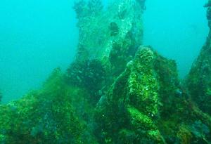 „Подводна вкаменена гора“ - уникален природен феномен в Созополския залив