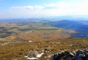 В Месеца на Земята WWF разказва за възстановяването на Драгоманското блато