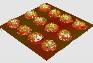 Учени разработват нови материали за ортопедични импланти