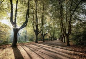 Каквo е климатична сянка и каква е разликата с личния ни въглероден отпечатък?