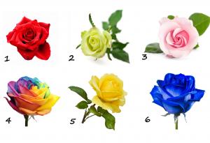 Избери си роза и виж каква си в действителност