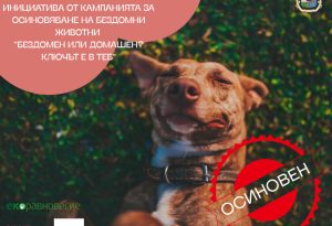 „Вече съм вкъщи“ – новата инициатива от кампанията „БезДОМен или ДОМашен? Ключът е в теб!“