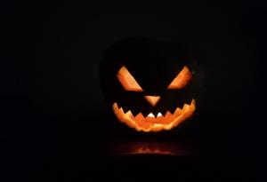 За тиквите и будителите