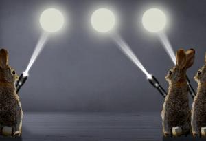 Откриха нови вариации на оптична илюзия, базирана на начина, по който възприемаме движението на мигащи светлини