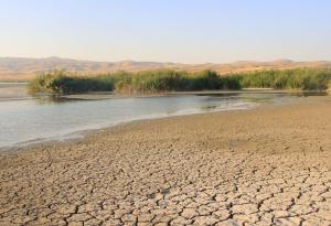 Крехките оазиси на планетата: бъдещето на влажните зони в затоплящия се свят