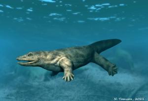 Подобен на саламандър хищник, живял на Земята преди 340 милиона години, е наречен "Тиранозавър рекс на своето време"