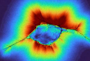 Когато работят заедно, клетките могат да "усещат" отвъд отвъд заобикалящата ги среда