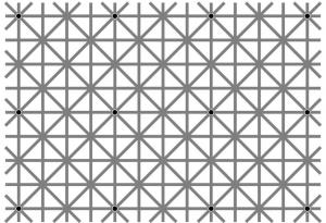 Можете ли да видите 12-те черни точки едновременно?