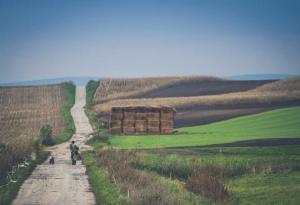 Когато се обърнем назад: Всичко опира до 5 човешки качества