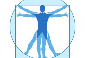 33 невероятни факта за човешкото тяло