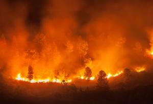 Горски пожар превърна небето над Индонезия в огненочервено