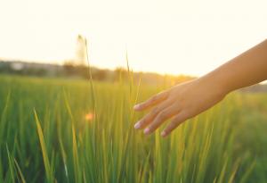 Индианска мъдрост: Престани да гледаш света с безпокойство