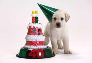 Как се ражда традицията да празнуваме рожден ден 