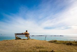 За стаите на сърцето