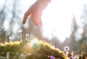 Чехов за чудесата