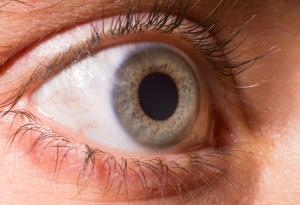 Един невероятно лесен начин да спечелите доверието на околните