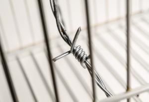  Сюзан Зонтаг за насилието