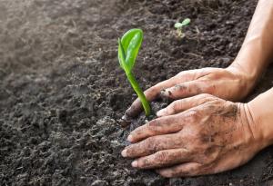 За лечението