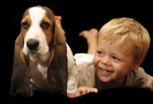 Мамо, искам животинче 