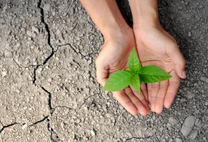 Когато си в капана на отчаянието, прочети тези мисли