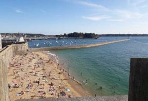 Учени алармират: Смъртоносни водорасли по френски плажове могат да ви убият за секунди