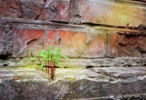 "Невъзможно" е дума от речника на глупаците