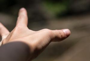 След училище - накъде?