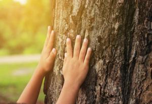 7 правила за възпитание според учените от Харвард