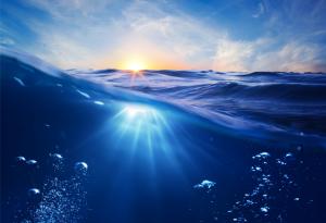 Ерих Мария Ремарк за законите на природата