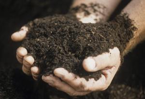 Учени съветват: Яжте пръст!