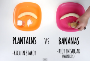 Този кратък клип ни показва разликата между храни и продукти, които иначе изглеждат доста сходно