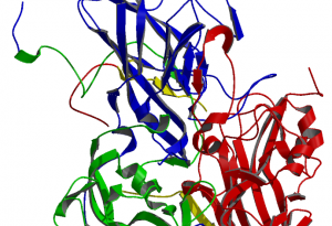 Този вирус се бори с рака