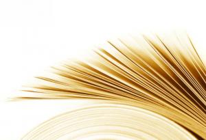 34 интересни и не съвсем безполезни факта за света около нас