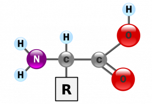 15 май 1953 г. - Стенли Милър получава първите аминокиселини