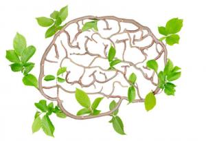 Този тест ще оцени здравето на вашия ум