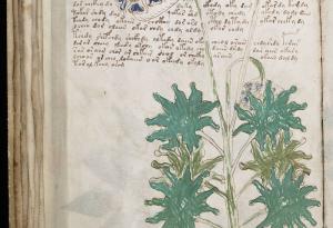 Най-мистериозната книга на света