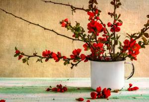 10 правила за човешките същества