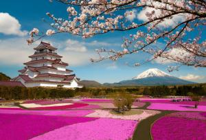 20 магични снимки, посветени на омайните цветове на сакура