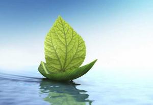 10 съвета за по-здравословен живот