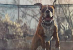 Рекламата, която ще ви зареди с коледен дух