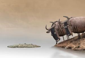 Ето защо никога не си струва да спорите с идиоти