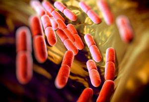 Създадоха нова форма на живот, за да открият общия прародител на всички организми