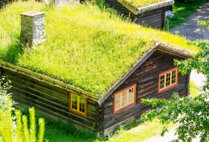 Тези цветни къщи в Скандинавия сякаш са излезли от някоя приказка