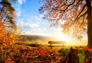 16 поетични цитата, приветстващи идващата есен