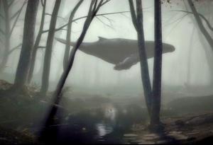 Видео: Ако китовете живееха на сушата