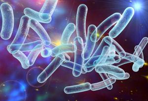 За бактериите и хората