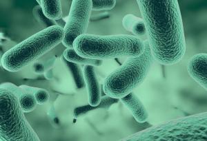 “Непотребни” имунни клетки оръжие срещу ХИВ и други вируси