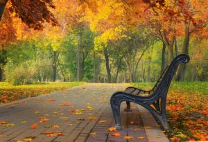 Бекет за живота