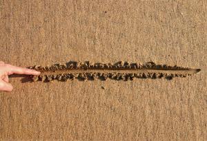 Как да поставите граници, ако някой се възползва от вас