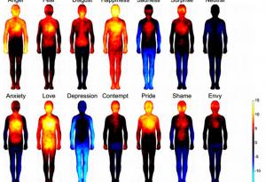 Ефектът на щастието и тъгата върху човешкото тяло
